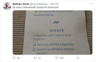 外国人「日本でクルーズ船に閉じ込められているけど、私は元気です！」