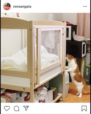 新米ママ桜　稲垣早希が退院報告【愛猫が新生児に興味津々の写真公開】