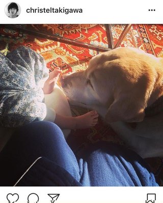 滝川クリステル【長男・道之助くんと愛犬の２ショットを公開】反響多数