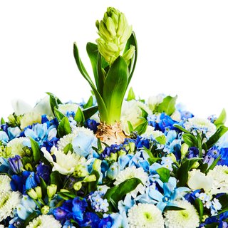 生後１カ月で亡くなった次男【空の上で元気でいて…】