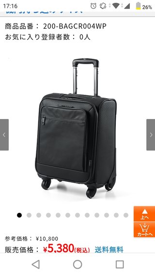 習い事に使いたい、キャリーバッグ