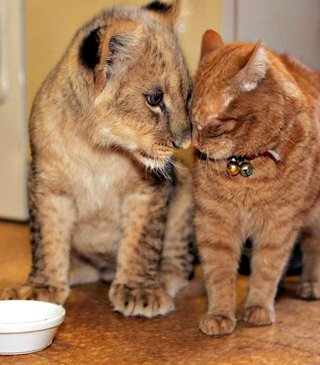 卍◇卍「白蛇城」卍◇卍