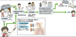 従来のコロナウイルス、一部は風邪の原因に　判明していることまとめ