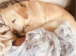 滝川クリステル、長男・道之助くんと愛犬の２ショットを公開「優しい光景」「育児」