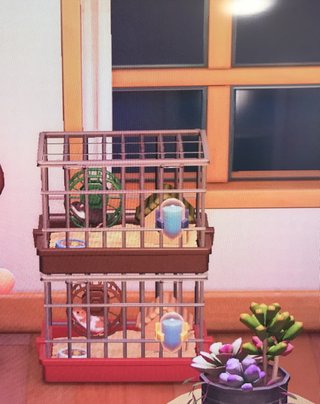 どうぶつの森 Switch 