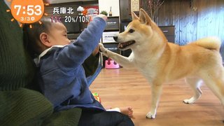 フジ【10の秘密】火曜 21時