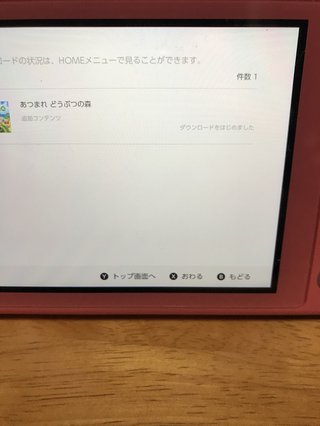 どうぶつの森 Switch 