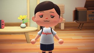 どうぶつの森 Switch 