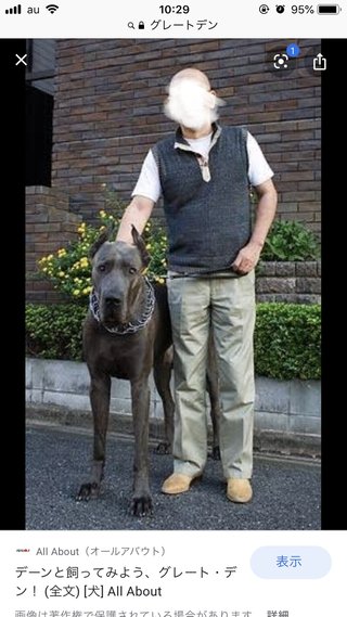 飼い犬に噛まれ乳児死亡