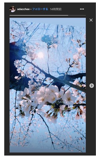 足立梨花「志村けんとは会ってないから大丈夫」