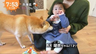 フジ【10の秘密】火曜 21時