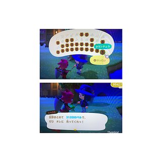 どうぶつの森 Switch 