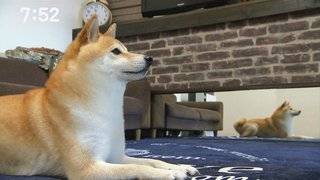 フジ【10の秘密】火曜 21時