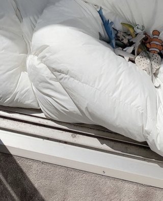 新　川崎希　アレクサンダー　ブログ