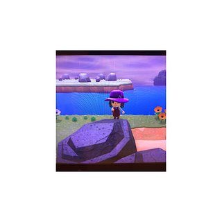 どうぶつの森 Switch 