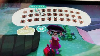 どうぶつの森 Switch 