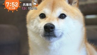 フジ【10の秘密】火曜 21時