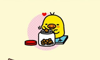 相撲みる人少ないのかな