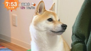 フジ【10の秘密】火曜 21時