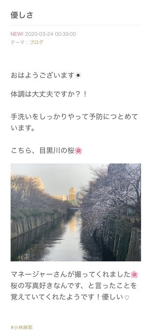 小林麻耶【麻耶☆道】