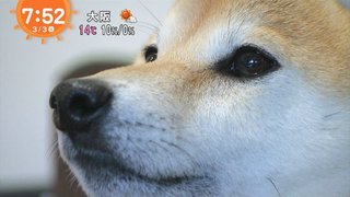 フジ【10の秘密】火曜 21時