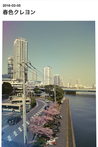 隣の芝生 ブログ