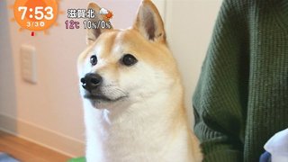 フジ【10の秘密】火曜 21時