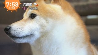 フジ【10の秘密】火曜 21時