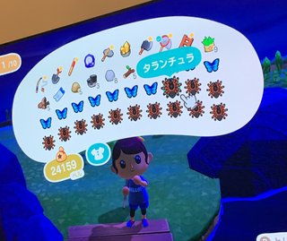 どうぶつの森 Switch 