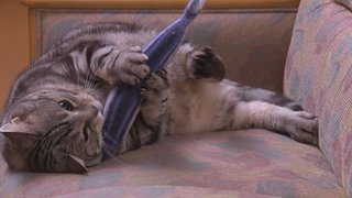 テレ朝【警視庁・捜査一課長 2020】木曜・20時