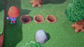 どうぶつの森 Switch 