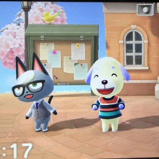 どうぶつの森 Switch 