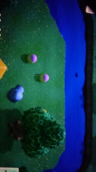 どうぶつの森 Switch 