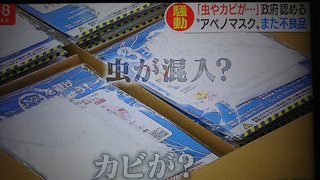 野党はまだ「桜を見る会」の事追求してるんだね