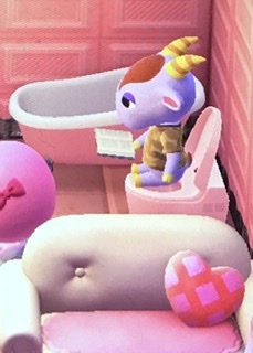 どうぶつの森 Switch 