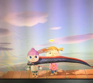 どうぶつの森 Switch 