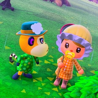 どうぶつの森 Switch 