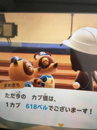 どうぶつの森 Switch 