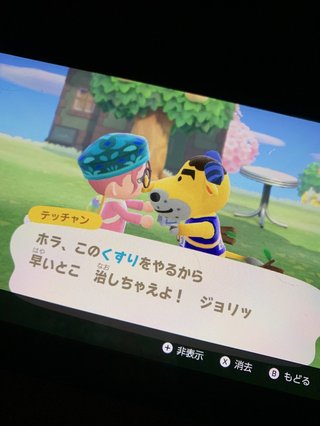 どうぶつの森 Switch 