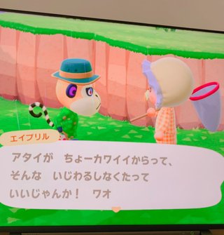 どうぶつの森 Switch 