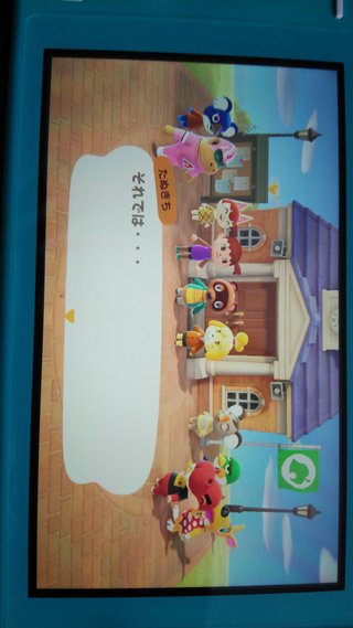 どうぶつの森 Switch 