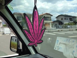 ドキュン（DQN）の特徴