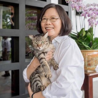 【台湾】蔡英文総統、自宅で猫とテレビ見ながらくつろぐ動画を投稿