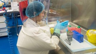 【新型コロナ】米国政府への電報が示す“武漢研究所起源説”の信憑性