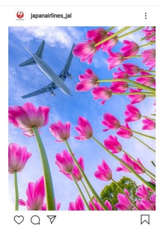 ＧＷにＡＮＡもＪＡＬも異例の「♯ＳＴＡＹＨＯＭＥ」発信、公式インスタに絶景投稿で“旅気分”を提供