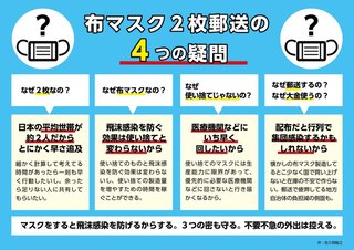政府の「布マスク（2枚）配布」ってさ