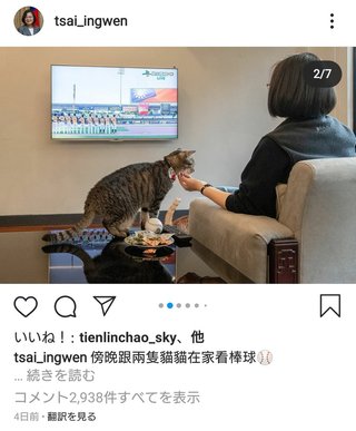 【台湾】蔡英文総統、自宅で猫とテレビ見ながらくつろぐ動画を投稿
