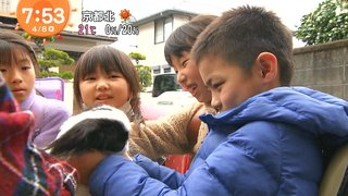 【おはよう】めざましテレビ【総合】