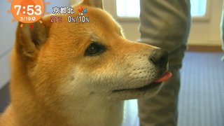 【おはよう】めざましテレビ【総合】