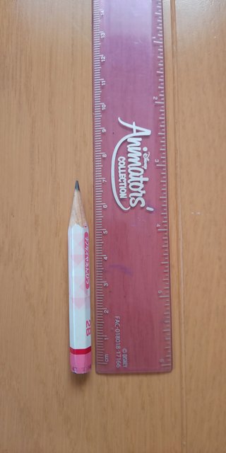 断捨離している人いますか？